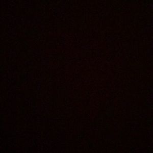 Meet your Posher, Zita